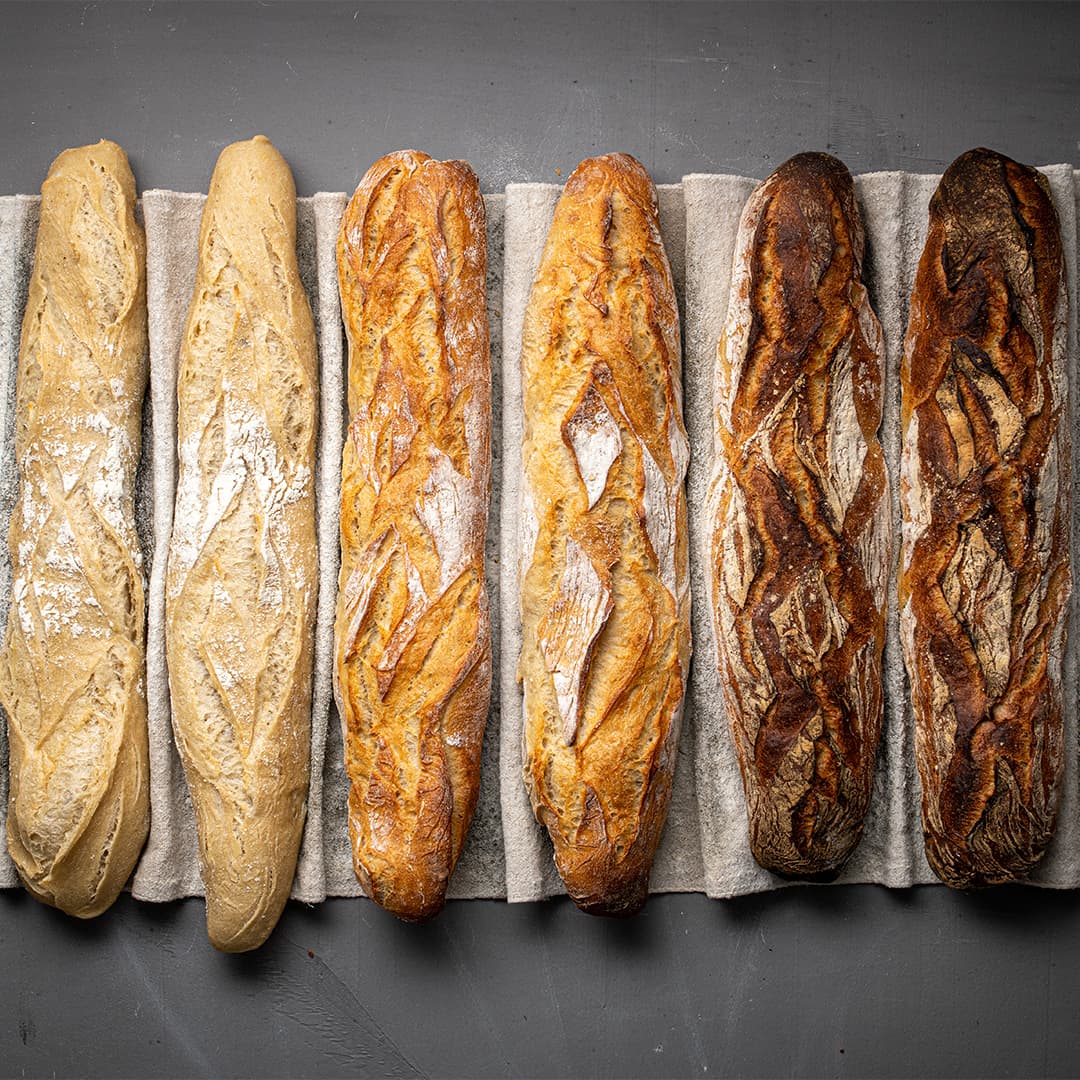 Franchise Boulangerie Marie Blachère